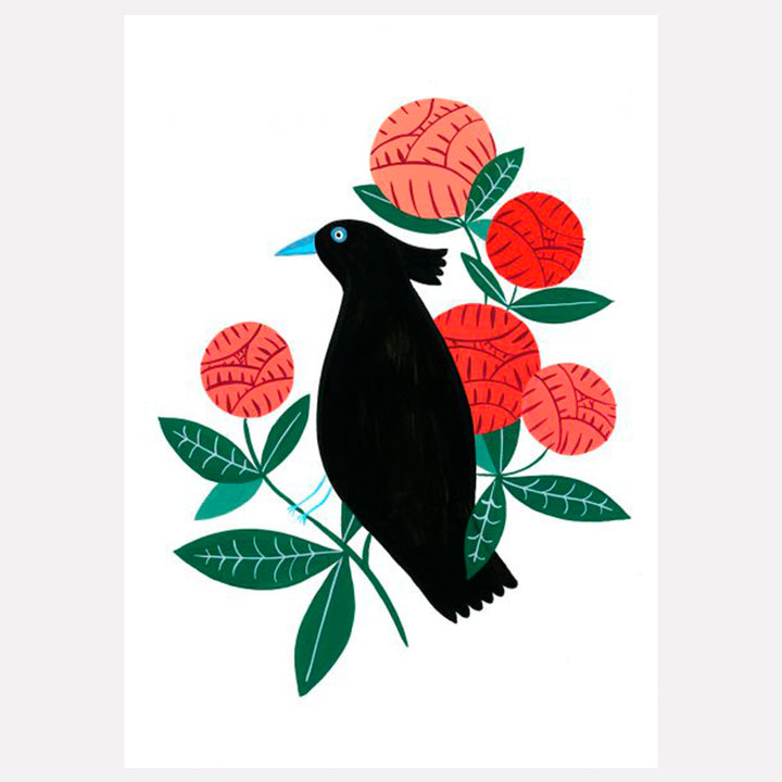 ILUSTRACIÓN - Agathe Singer, Black Bird