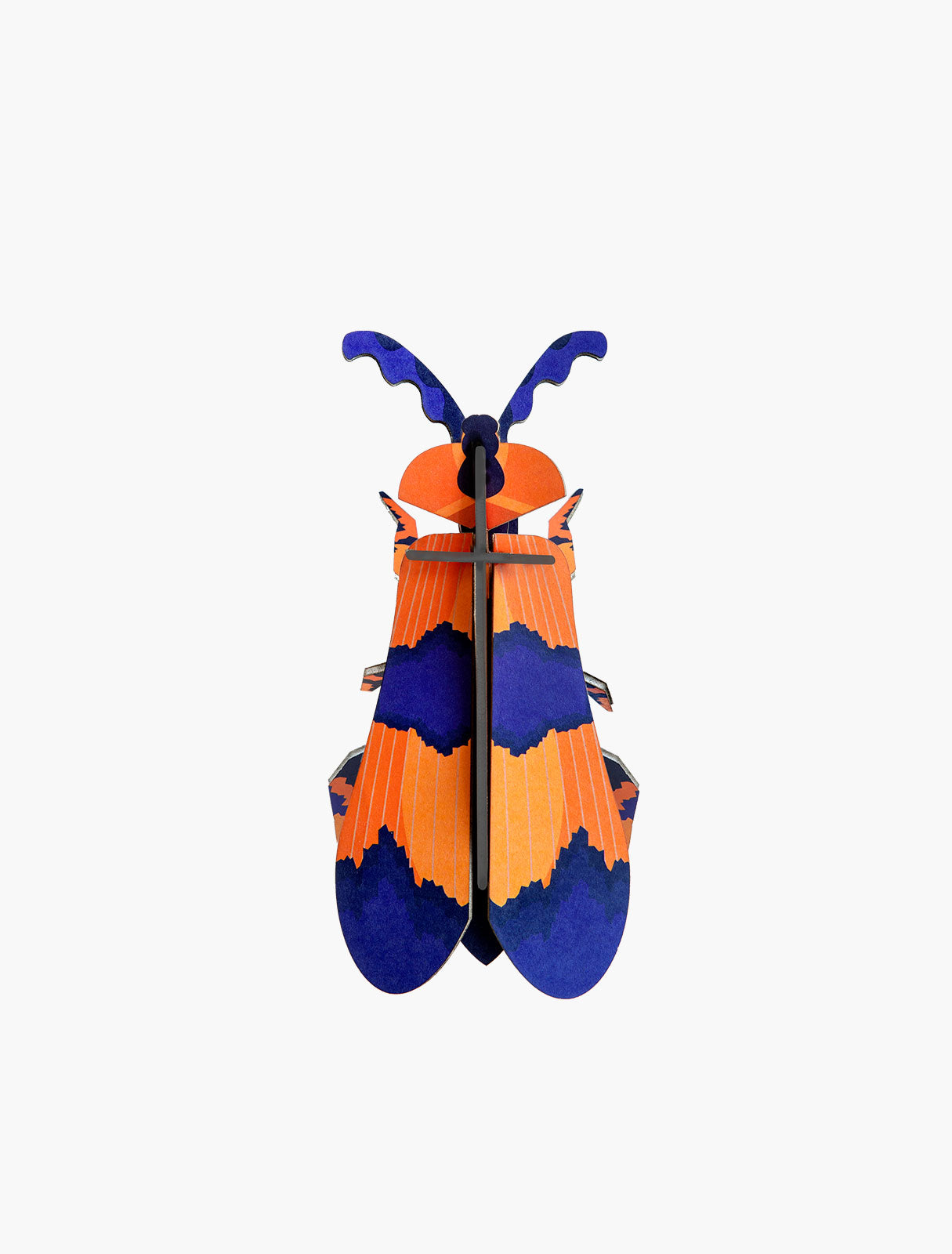 MAQUETA - Studio Roof, Winged Beetle