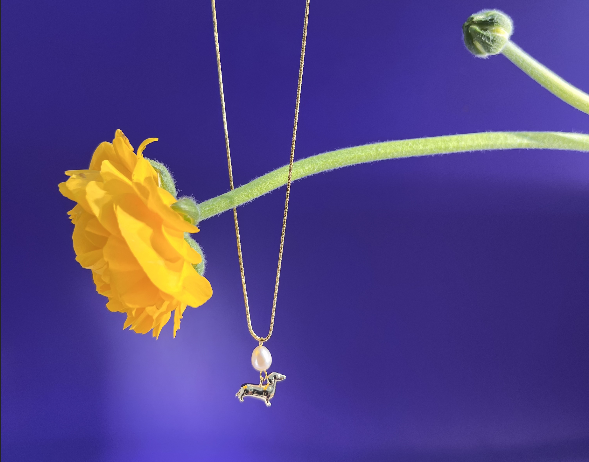 COLLAR - Terami, Teckel y perla