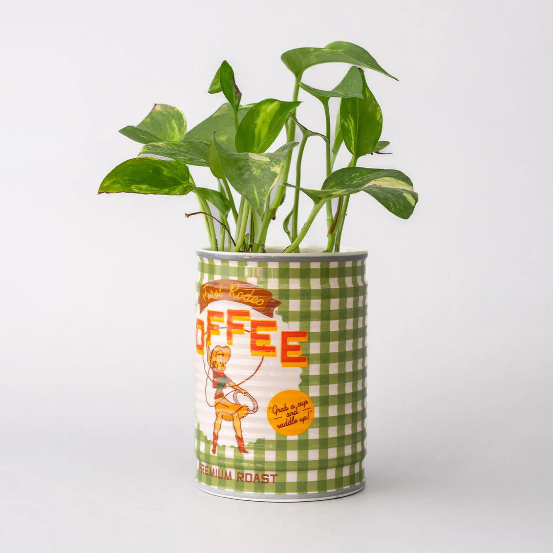 JARRÓN - Ban.Do, Coffee Can