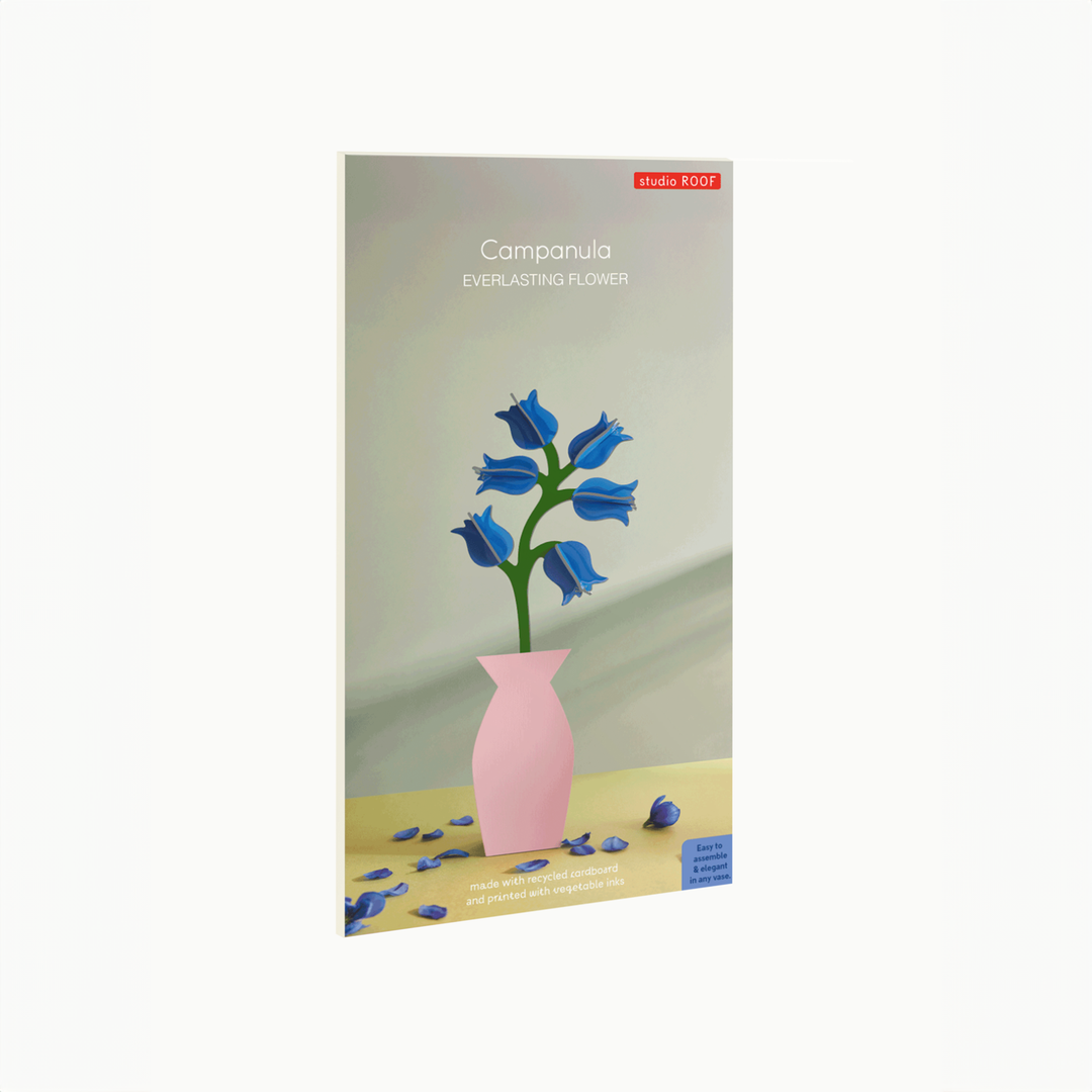 MAQUETA - Studio Roof, Campanula