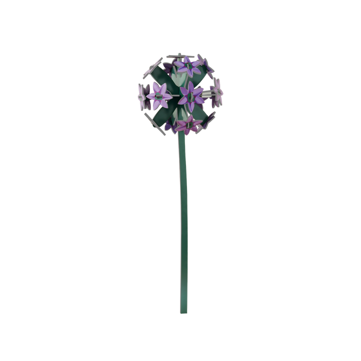 MAQUETA - Studio Roof, Allium