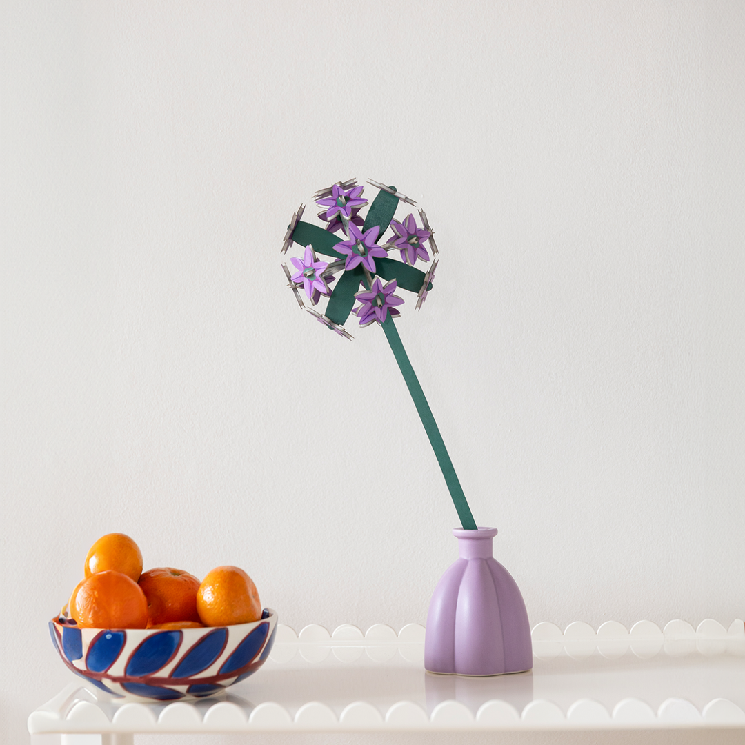 MAQUETA - Studio Roof, Allium