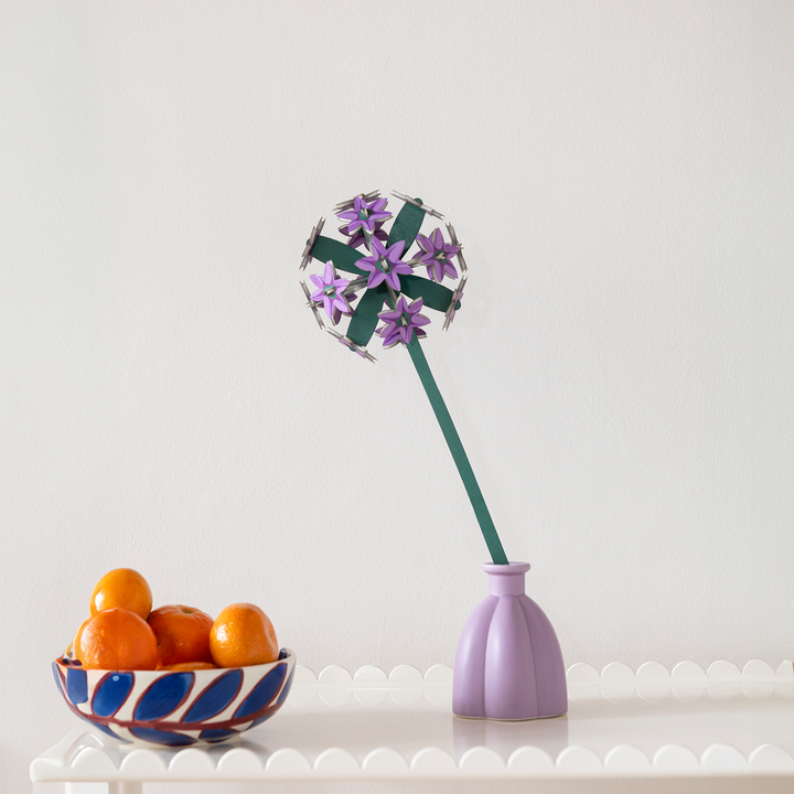 MAQUETA - Studio Roof, Allium