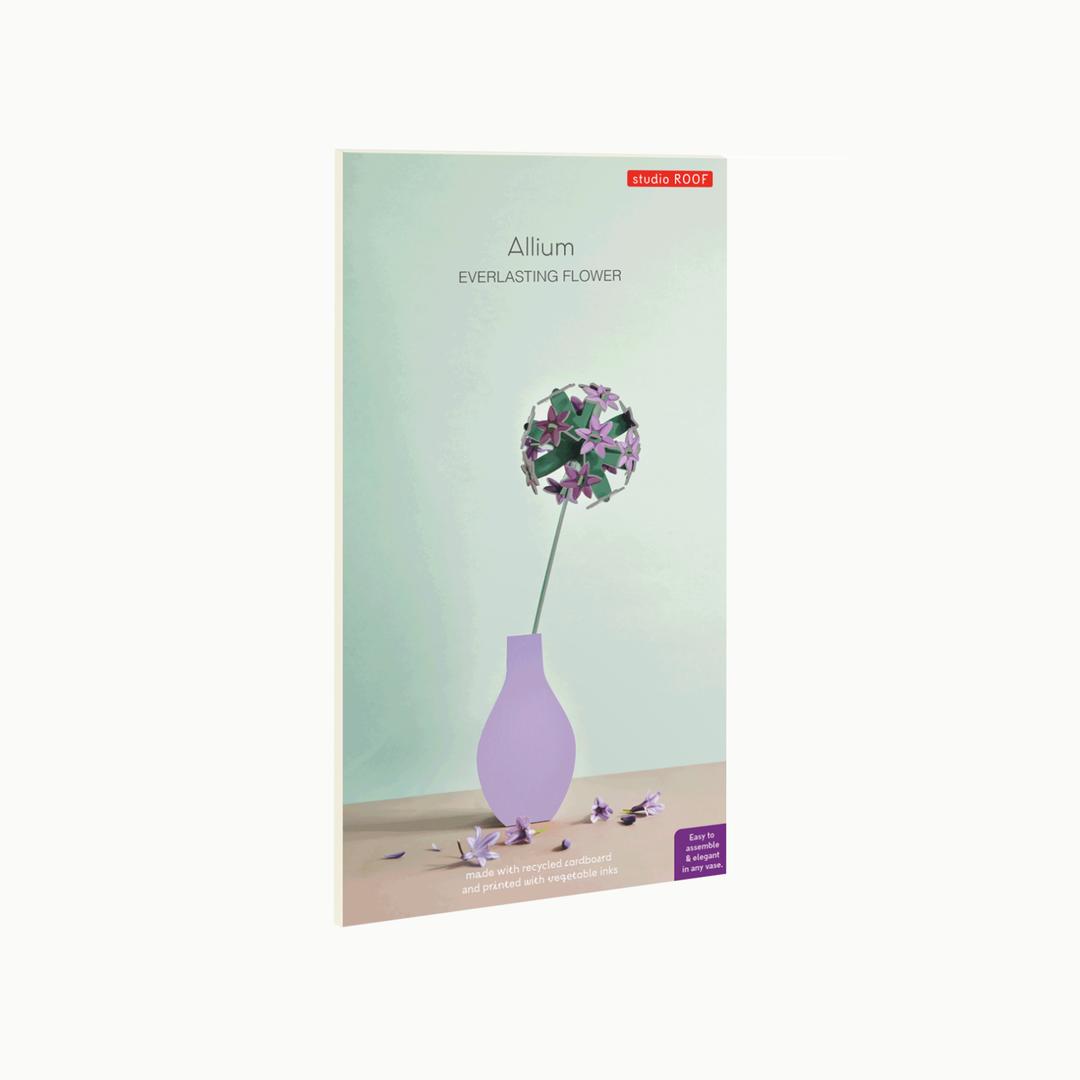 MAQUETA - Studio Roof, Allium