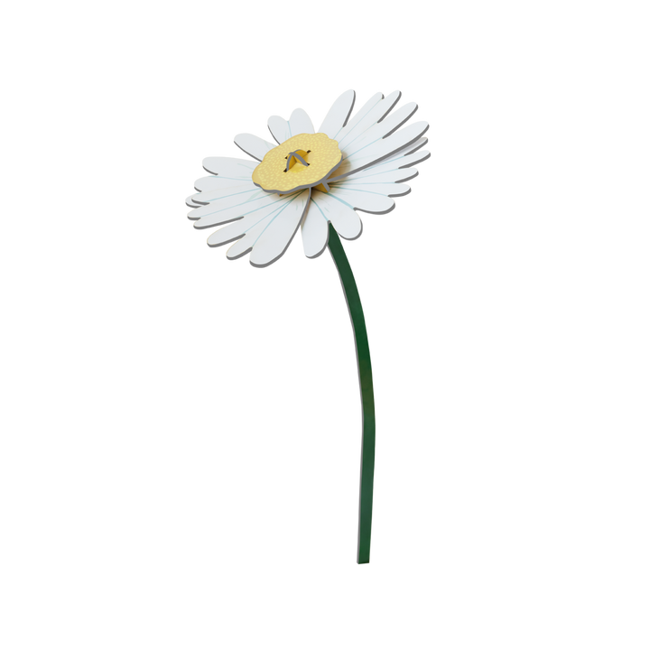 MAQUETA - Studio Roof, Daisy