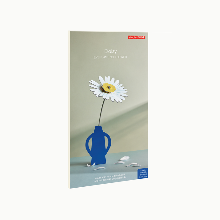 MAQUETA - Studio Roof, Daisy