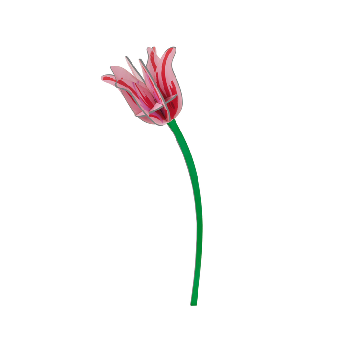 MAQUETA - Studio Roof, Pink Tulip