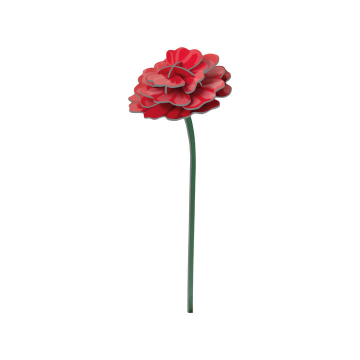 MAQUETA - Studio Roof, Rose