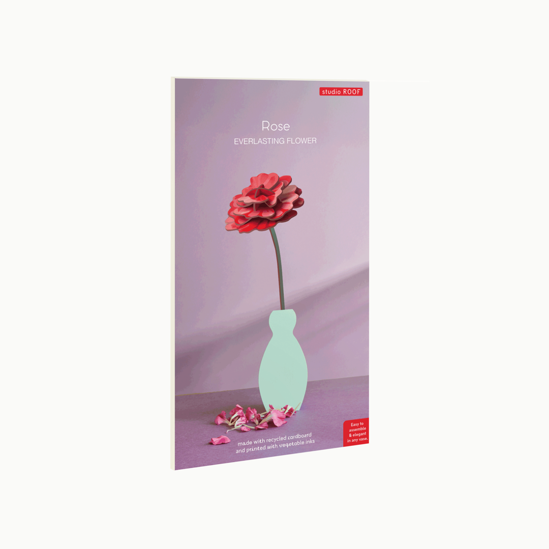 MAQUETA - Studio Roof, Rose
