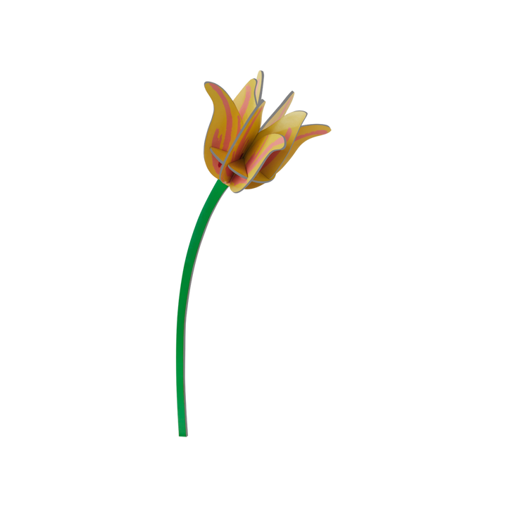 MAQUETA - Studio Roof, Yellow Tulip