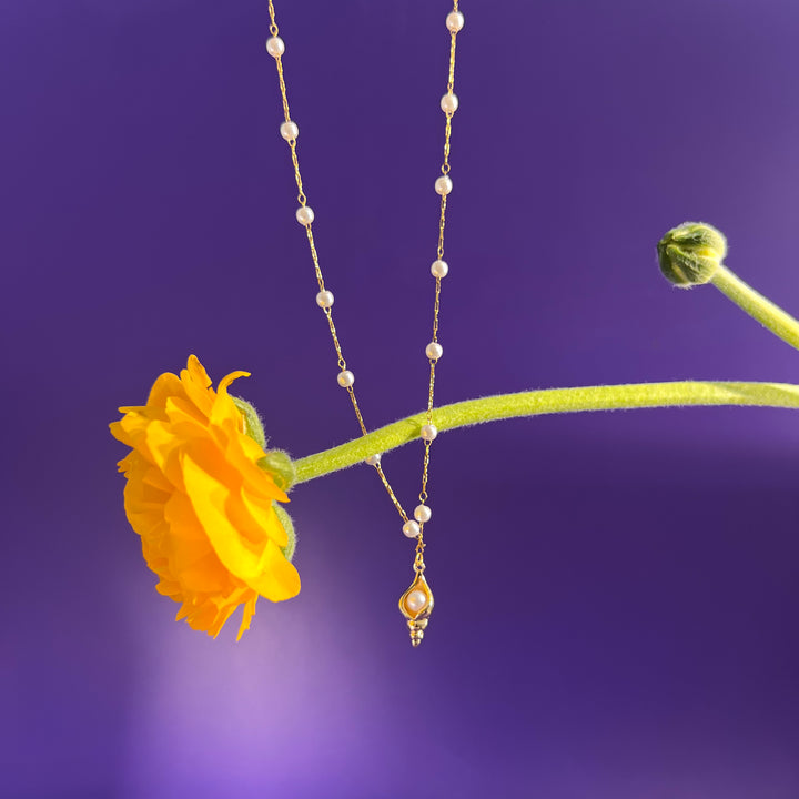 COLLANA - Terami, Amelia