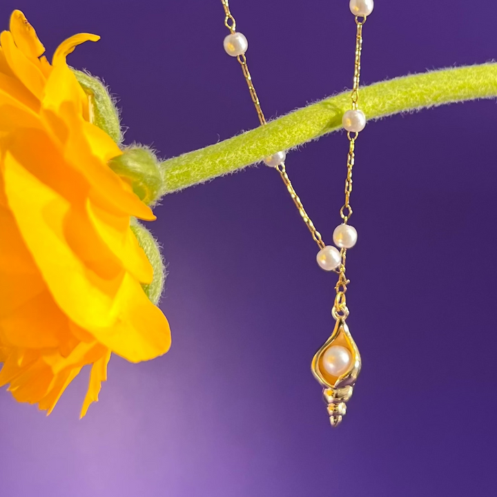 COLLANA - Terami, Amelia