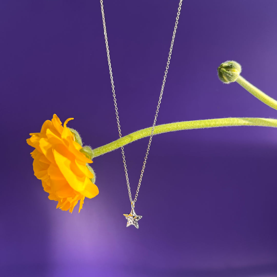 COLLANA - Terami, Stella Zirconia