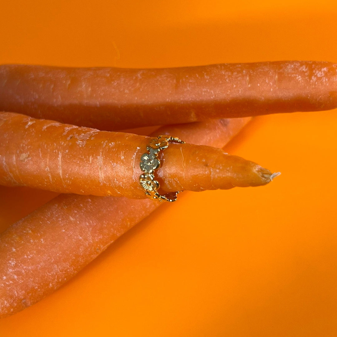 Anillo - Terami, 31 oro