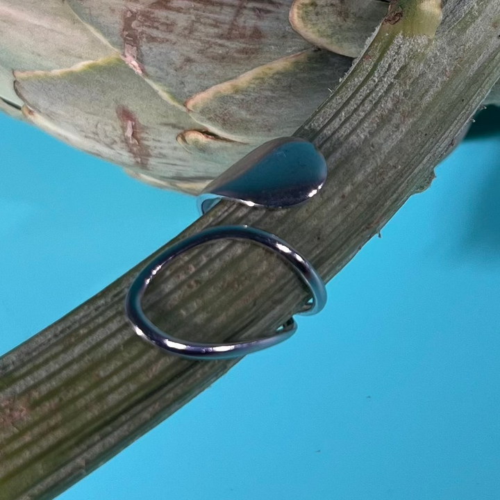 Anello - Terami, 24 argento