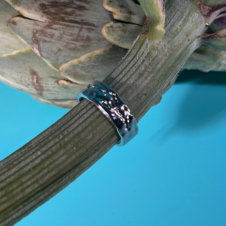 Anillo - Terami, 20 plata