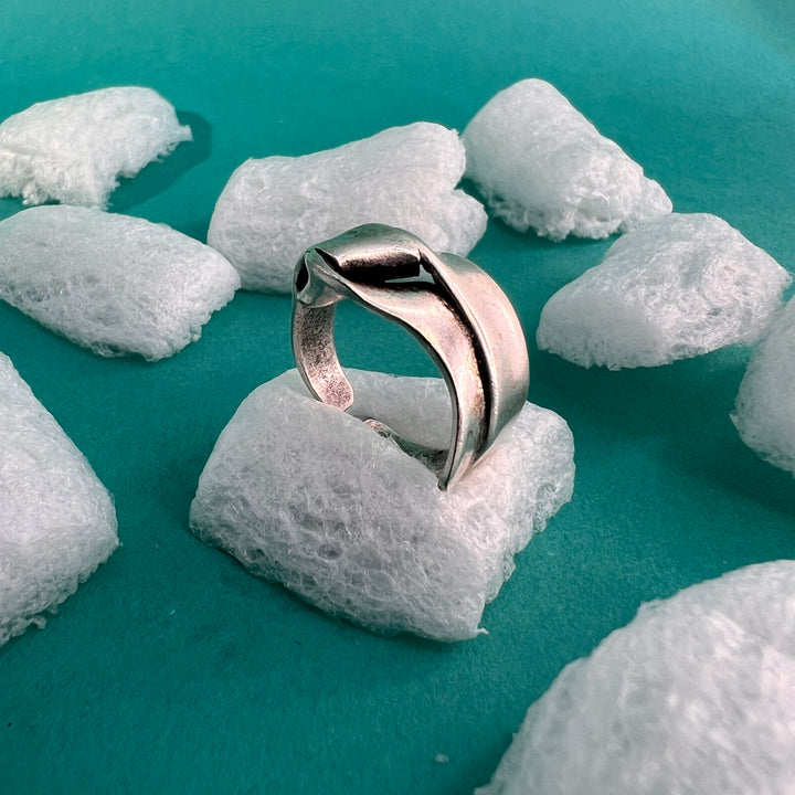 Anello - Terami, 28 argento