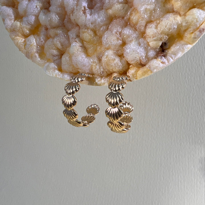 PENDIENTES - Terami, Conchas oro