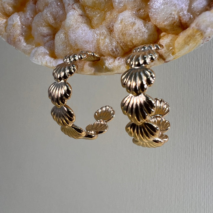 PENDIENTES - Terami, Conchas oro