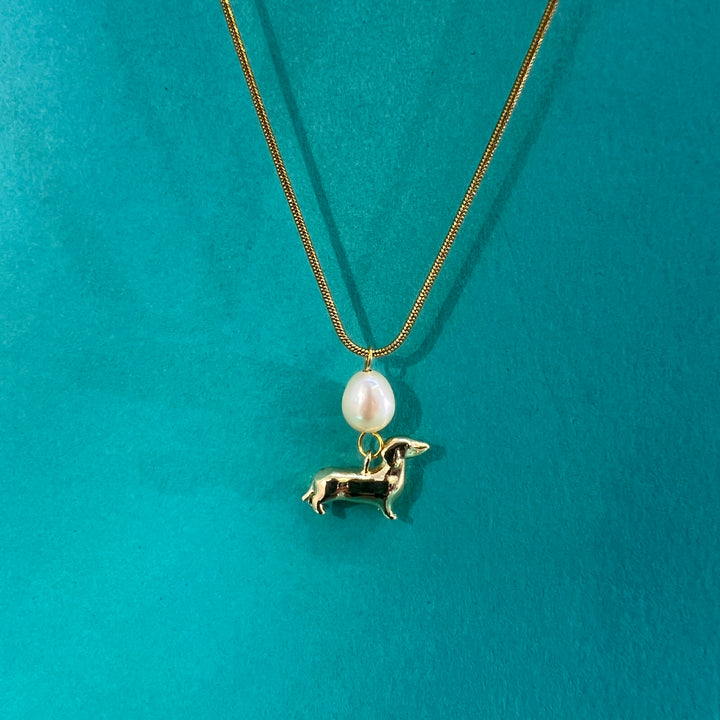 COLLAR - Terami, Teckel y perla