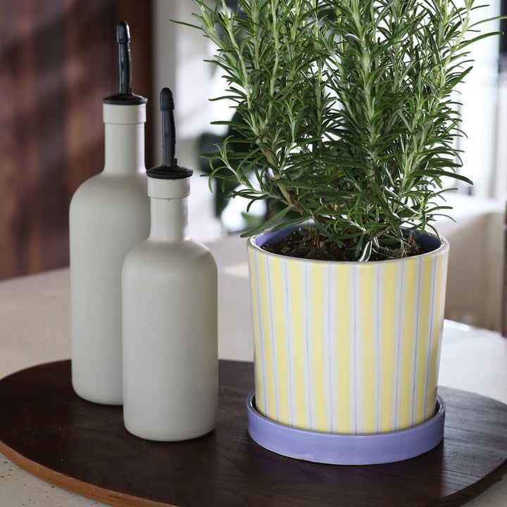 MACETA - & Klevering, Planter ray yellow