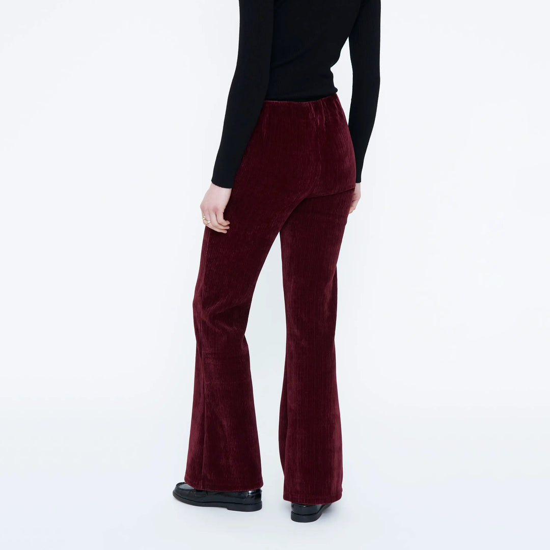 PANTALONE - Wild Pony, Velluto a coste Navy Blue