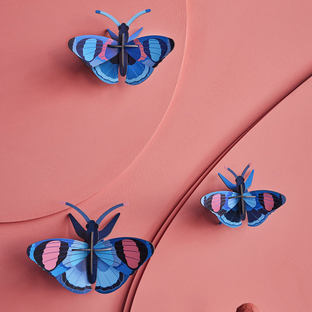 MAQUETA - Studio Roof, Peacock Butterflies