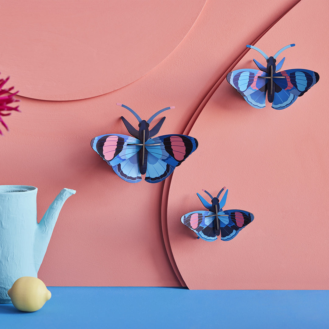 MAQUETA - Studio Roof, Peacock Butterflies