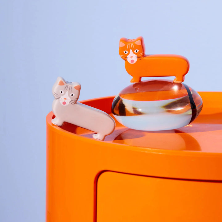 SALERO Y PIMENTERO - Fluid Market, Cat