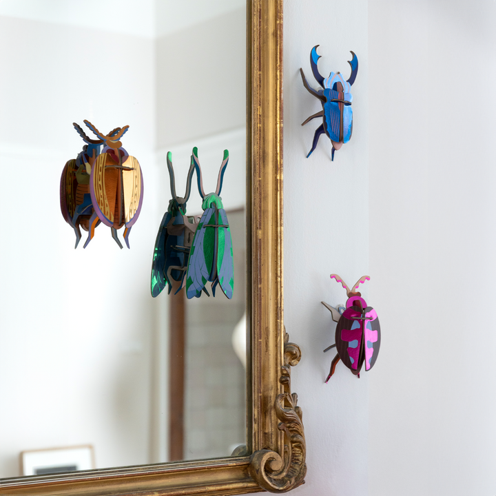 MAQUETA - Studio Roof, Cuprum Beetle