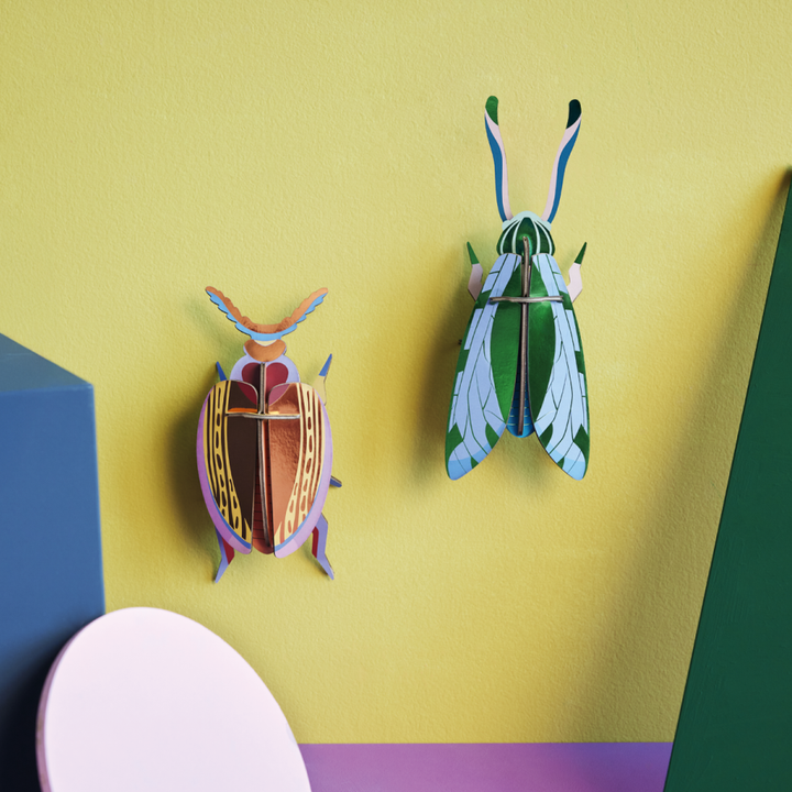 MAQUETA - Studio Roof, Cuprum Beetle
