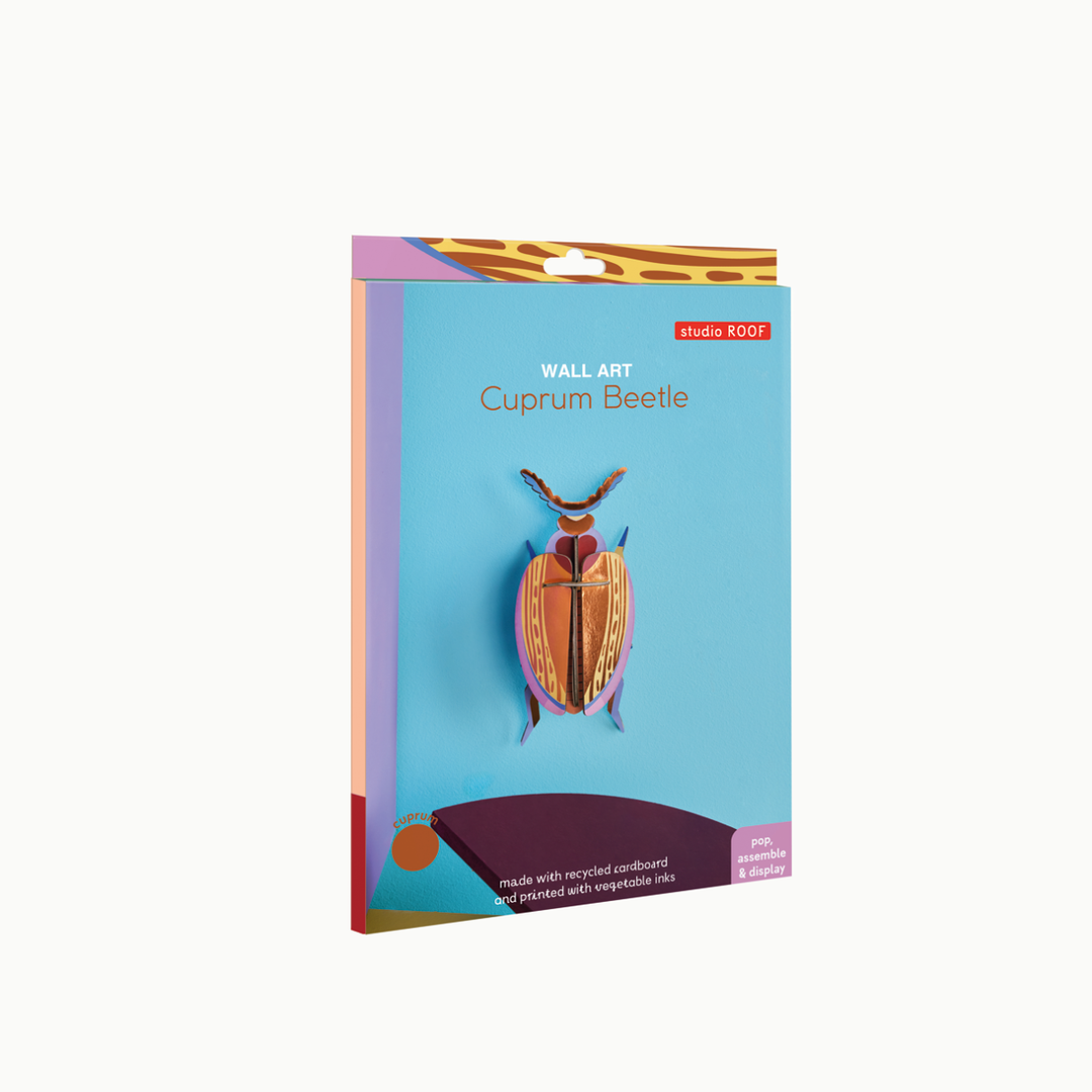 MAQUETA - Studio Roof, Cuprum Beetle