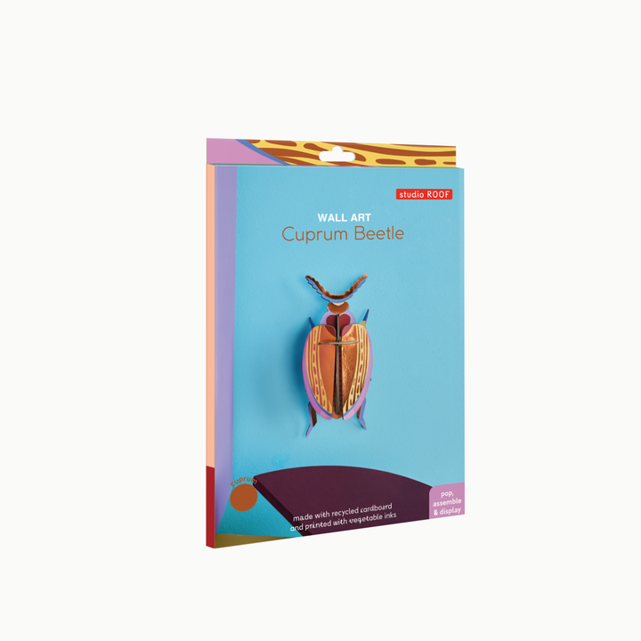 MAQUETA - Studio Roof, Cuprum Beetle