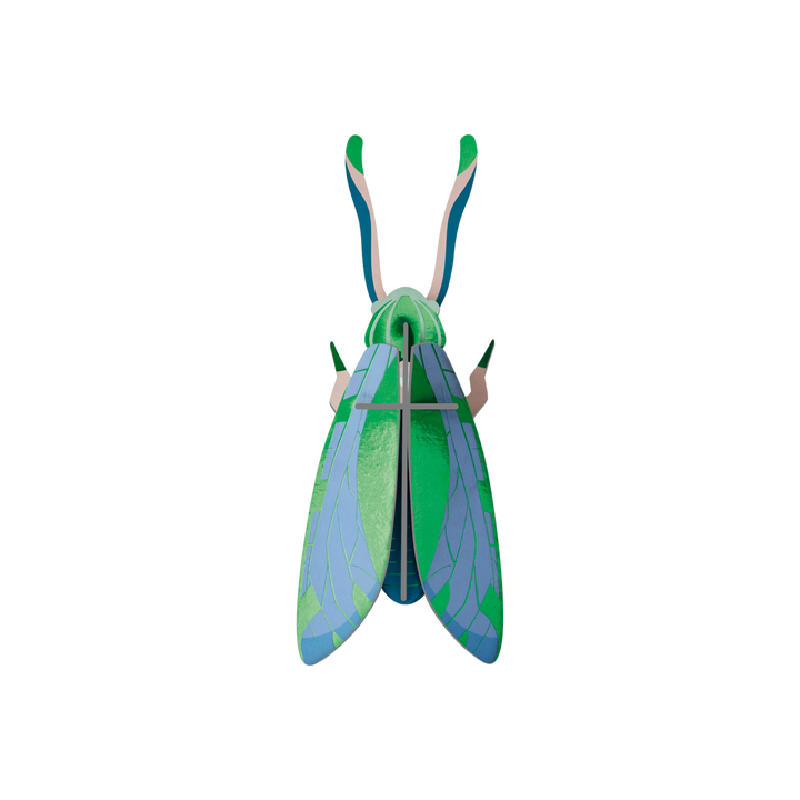 MAQUETA - Studio Roof, Jade Grasshopper