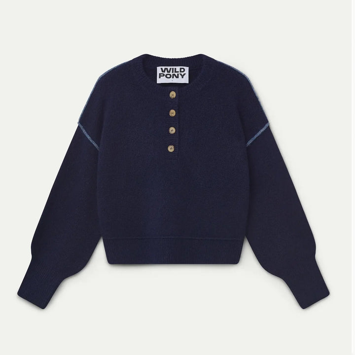 JERSEY - Wild Pony, Mezcla lana azul marino