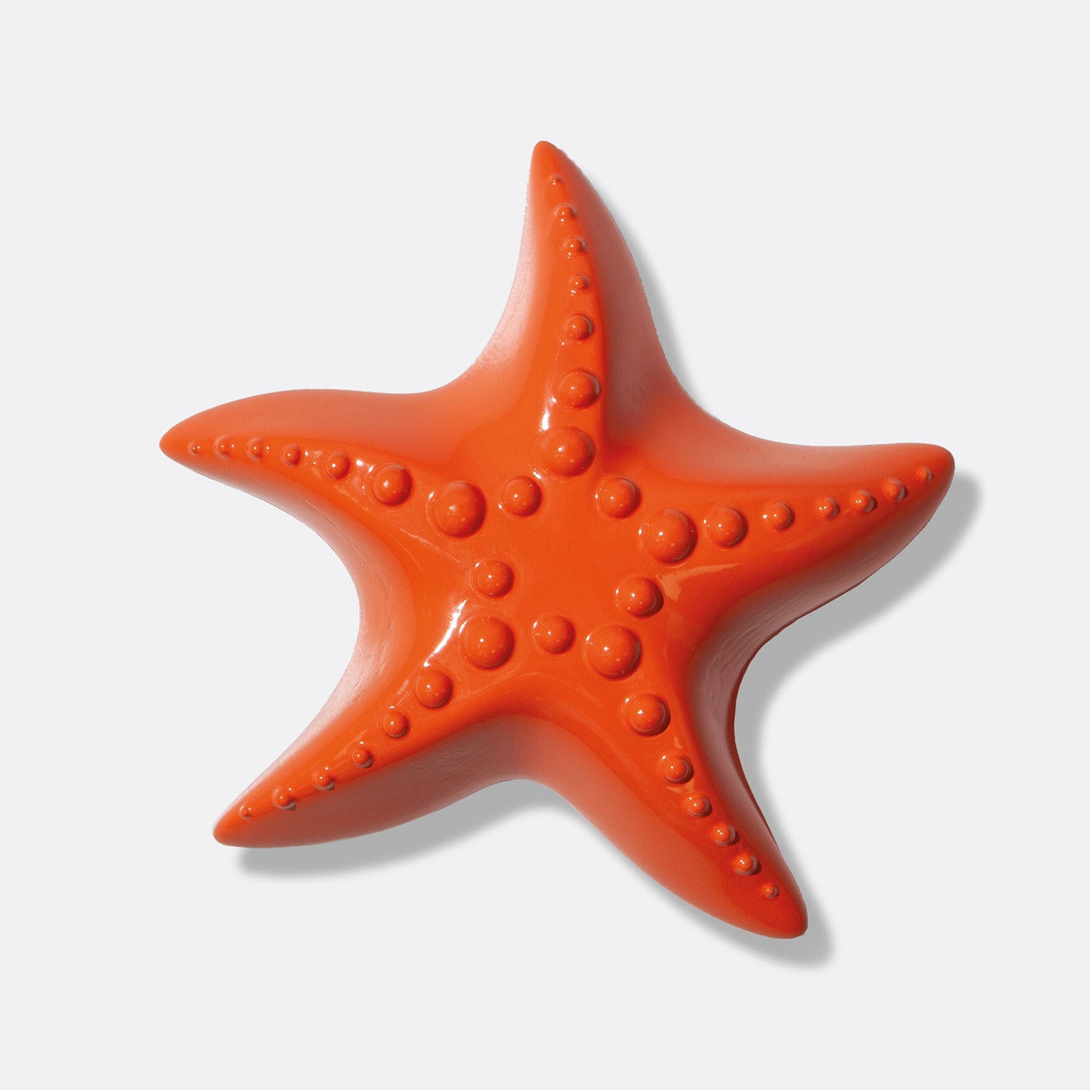 Doiy Starfish Bottle Opener