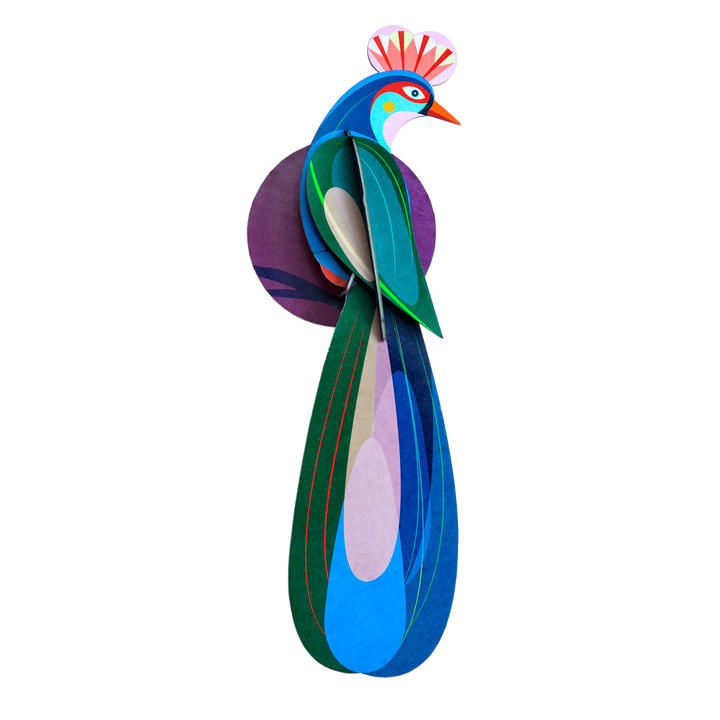 MAQUETA - Studio Roof, Paradise Birds Banda