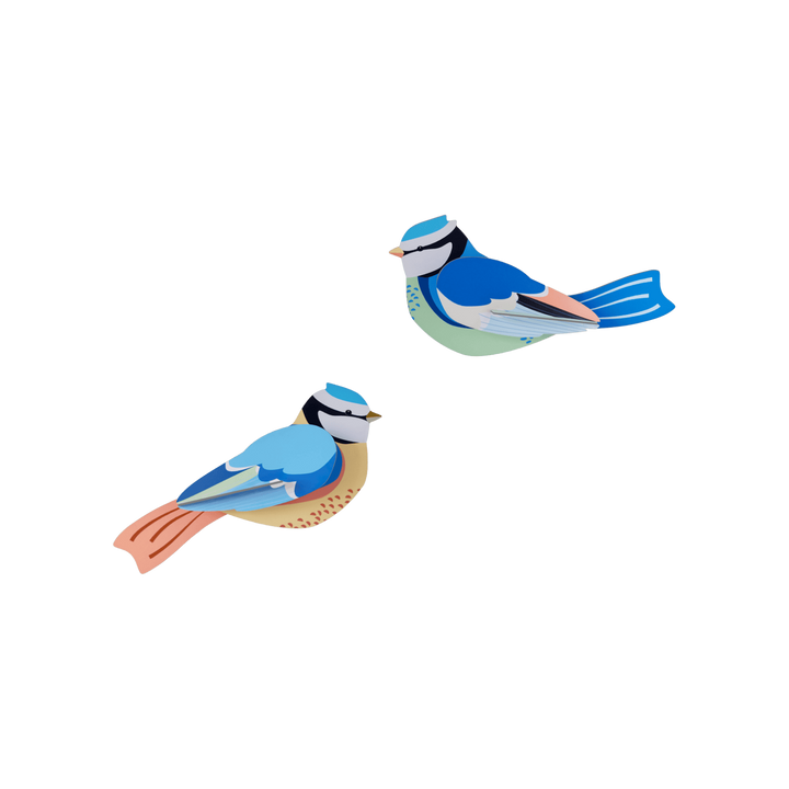 MAQUETA - Studio Roof, Blue Tits