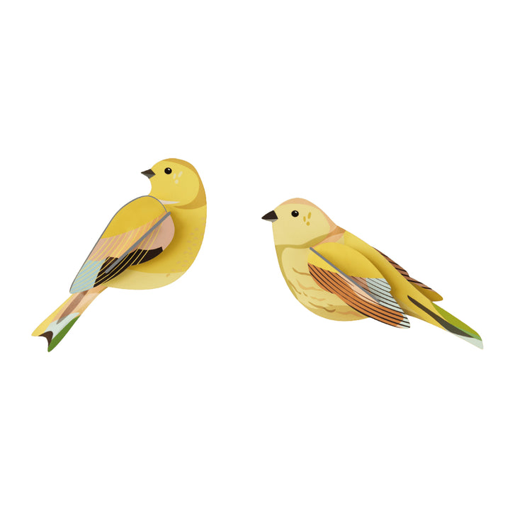 MAQUETA - Studio Roof, Citrinella Pair