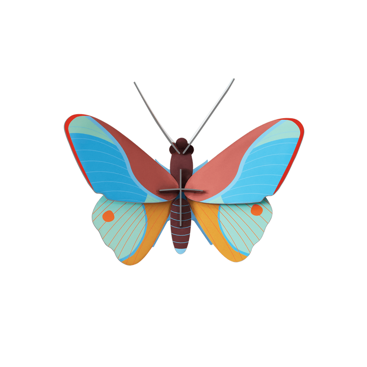 MAQUETA - Studio Roof, Claudina Butterfly