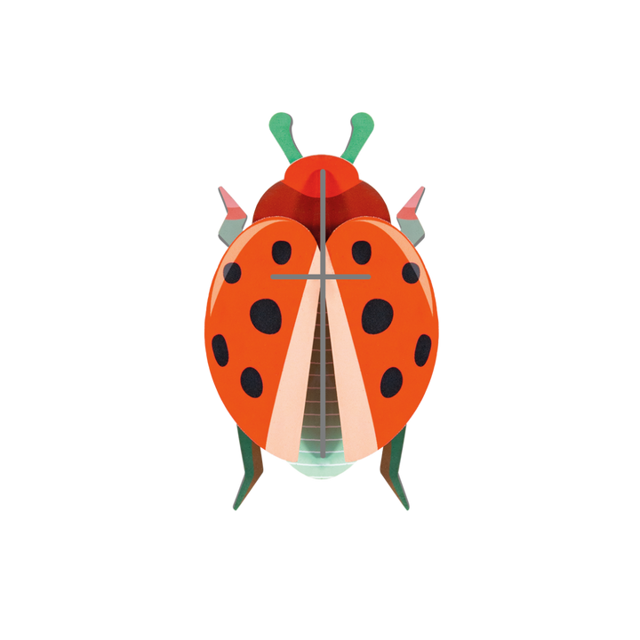 MAQUETA - Studio Roof, Coccinelle Rouge