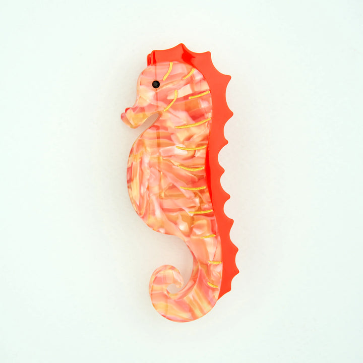 PINZA - Coucou Suzette, Caballito de mar
