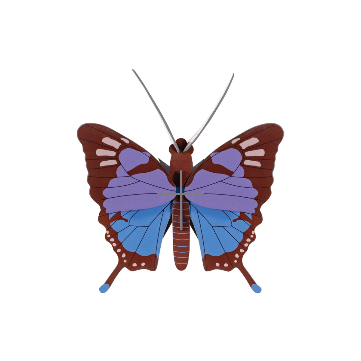 Sumérgete en nuestro mundo por completo y descubre todo lo que hay en Amezkua.