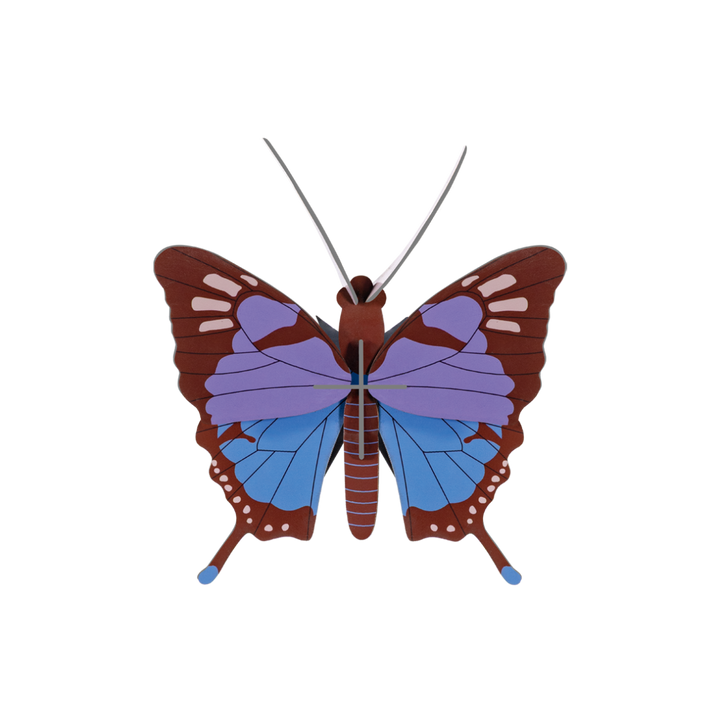MODEL - Studio Roof, Blue Copper butterfly