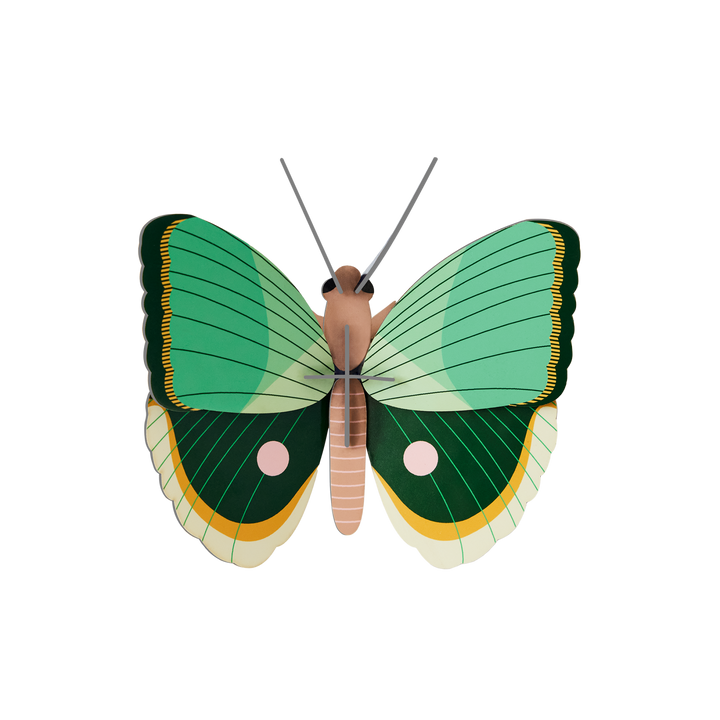 MAQUETA - Studio Roof, Fern Striped Butterfly