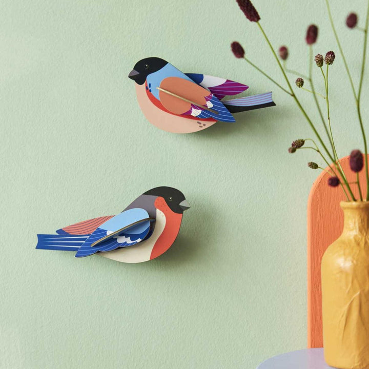 MAQUETA - Studio Roof, Finches