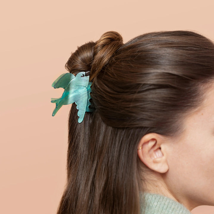 PINZA - Coucou Suzette, Golondrina