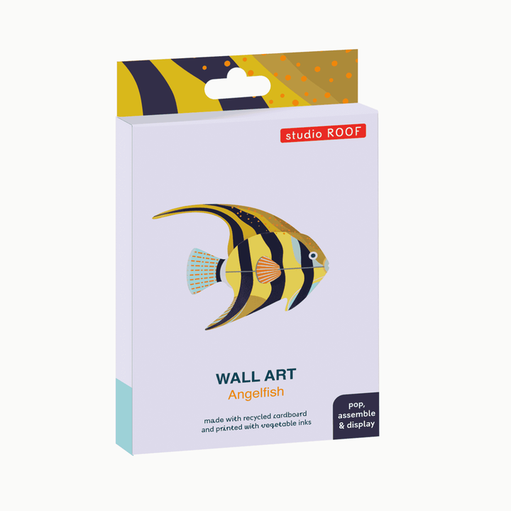 MAQUETA - Studio Roof, Angelfish
