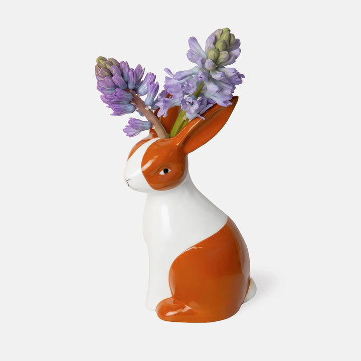 VASO - Doiy, Pigeon
